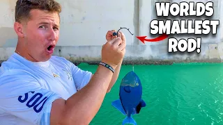 WORLDS *smallest* Fishing Rod Challenge! (NEW PET FISH?!)