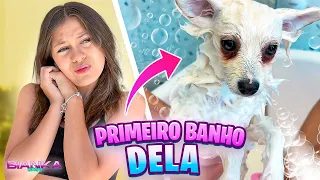 PRIMEIRO BANHO DA MINHA CACHORRO! FICOU LINDA ❤️- BIANKA