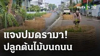 แจงปมดรามา ปลูกต้นไม้บนถนน  เพิ่มพื้นที่สีเขียว  | 8 พ.ค. 67 | ข่าวเช้าหัวเขียว