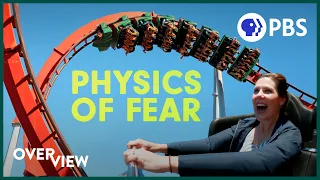 Are Roller Coasters GOOD For Your Brain? | Overview