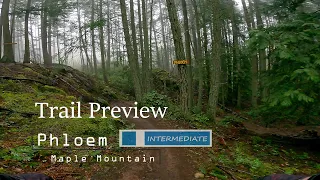 Maple Mountain / Phloem Trail Preview