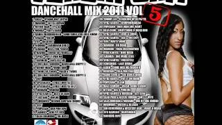 Venom Unit Dancehall Mix 2011 Vol 5 PREVIEW.wmv