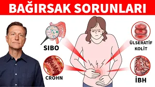 Bağırsak Rahatsızlıklarını (Crohn's, İBH, Ülseratif Kolit veya SIBO) test etmenin en kolay yolu