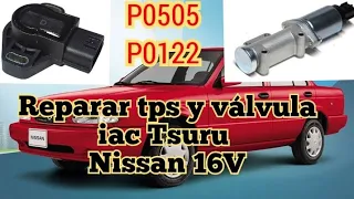 Problemas de tps y iac de Tsuru (Nissan 16V)