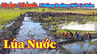 Hùng KaKa ll Hoàn Thành Những Đường Nét Cơ Bản Cho Ruộng Lúa Nước Đầu Tiên !