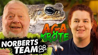 GRÖSSTE KRÖTE DER WELT | NORBERTS TEAM | Zoo Zajac