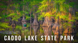 PHOTOGRAPHING THE BAYOU SWAMPS IN UNCERTAIN, TEXAS