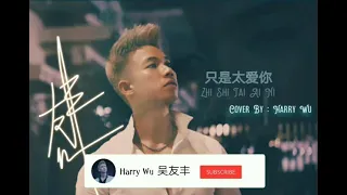 只是太爱你 ( Zhi Shi Tai Ai Ni ) cover by Harry Wu 吴友丰