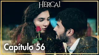 Hercai - Capítulo 56
