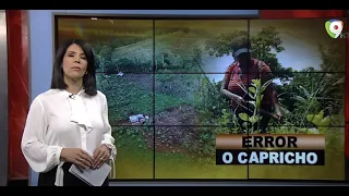 Error o Capricho | El Informe con Alicia Ortega