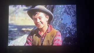 A Young Boy are Hunting in the Forest from Old Yeller ("1957")