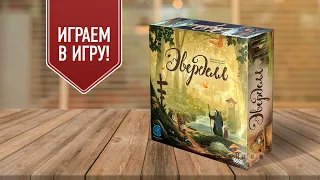 ЭВЕРДЕЛЛ: Играем в семейную настольную игру в стиле доброго фэнтези!