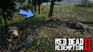 Тройная трагедия из реальной жизни в RDR2 или История о том, как нас развели