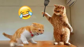 New Funny Animals 2024 🐈🐕 #Funniest Cutest Cats and Dogs🐱😻🐶 Part 12