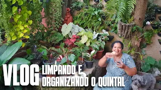 VLOG: LIMPANDO E ORGANIZANDO AS PLANTAS DA CISTERNA E O PERGOLADO | DICAS DE CULTIVOS