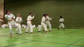 6 Kyu + 5 Kyu.  Kihon, Gohon Kumite & Kata Heian Sandan, Heian Yondan.