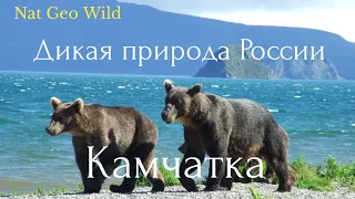 Nat Geo Wild. Дикая природа России. Камчатка.