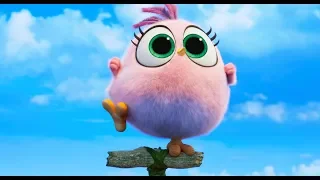 ANGRY BIRDS: COPAINS COMME COCHONS / Hatchlings / Actuellement au cinéma