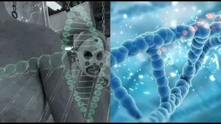 ДНК смыслы человечества