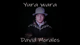 Yura Wara Sanjuanito (David Morales)