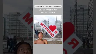 Где купить квартиру в Мурино? Обзор новых жк смотрите на канале.