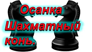 Анализ осанки.Почему человек похож на шахматного коня.