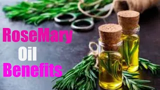 10 Benefits of Using Rosemary Oil - Rosemary essential Oil Explained