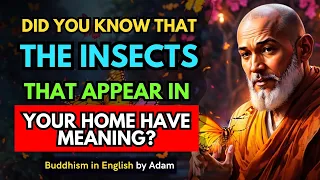 🐞🦋Did you know that the insects that appear in your home have meaning...