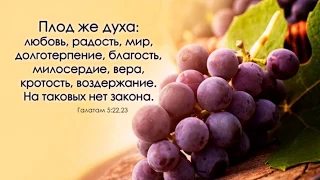 Плод духа  - слово А. И. Матвейчук