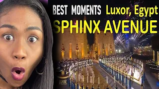 Grand Opening of the Sphinx Avenue in Luxor, Egypt (Al-Kebbash Road) | Reaction
