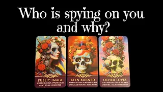 👀 Who is spying on you & why? 👀 pick a card tarot ✨️ timeless ✨️