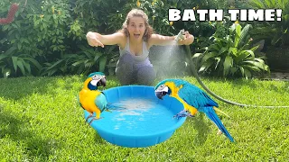 BABY MACAWS GET THEIR FIRST BATH!