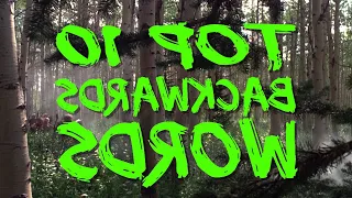 Top 10 Backwards Words! - from the OSW Troll 2 review