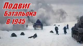 Бои батальона в 1945 году.  Подвиг батальона весной 45-го. @VoyennyyeMemuary