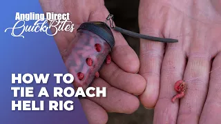 How To Tie A Roach Heli Rig - Coarse Fishing Quickbite