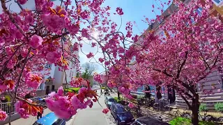 Flower Power Madness with Insta360 OneX2