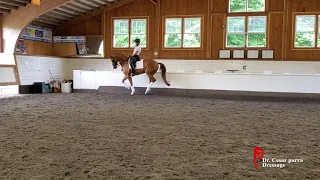 Dr. Cesar Parra Dressage Training