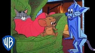 Tom y Jerry en Latino | Cariño, ¡hace frío afuera! | WB Kids