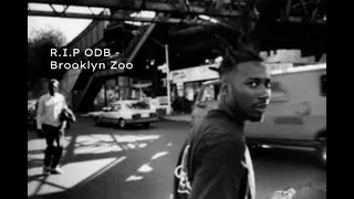 R.I.P ODB - Brooklyn Zoo (underground remix)