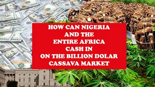 How Nigeria and the whole of Africa can cash in on the billion-dollar cassava market #panafricanism