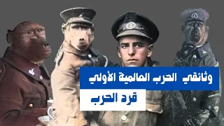 World War I | Apocalypse | War Monkey | documentary