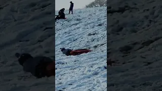 sledging FAIL/WIPEOUT  #snow #fail #sledding