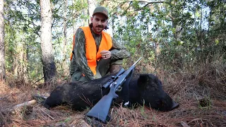 WILD BOAR HUNTING ON PUBLIC LAND IN FLORIDA!!