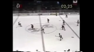 Majstrovstvá sveta 1982 v hokeji - reportáže z ,,Branky, body, sekundy´´