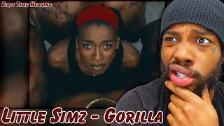 First Time Hearing | Little Simz - Gorilla (Schuyler Reacts)