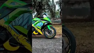 Ninja 300 fully modified into zx6r