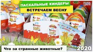 Пасхальный🐣Киндер JOY | Весна 2020 | Новинка от Kinder Сюрприз