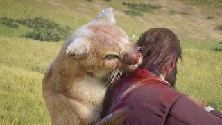 life as a cat in RDR2