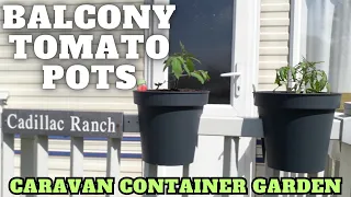 Balcony Tomato Pots Brilliant! Full Time Caravan Life