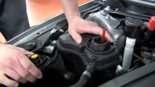 How To Check The Coolant Level on Your BMW 3 Series - Don Jacobs BMW - Lexington, KY
